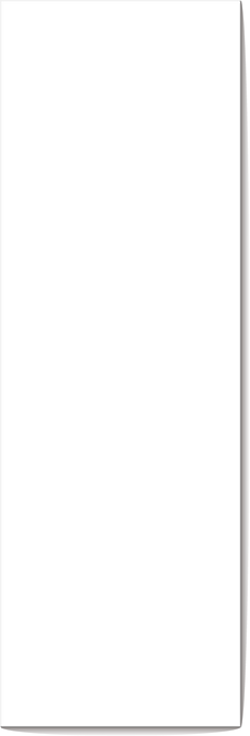 Mockup Shadow 1:3